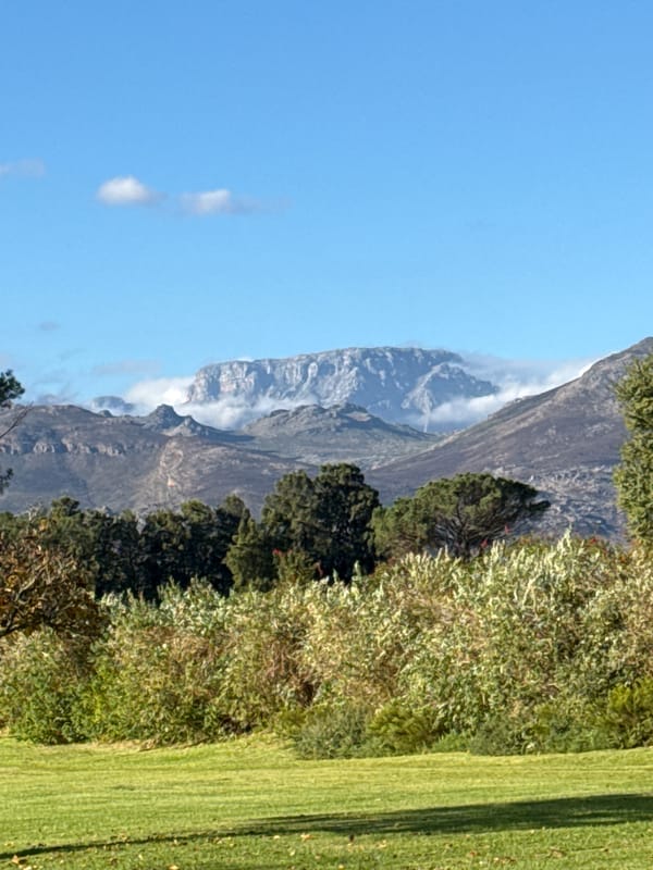 Wine tasting event held at Stellenbosch venue with mountain views
