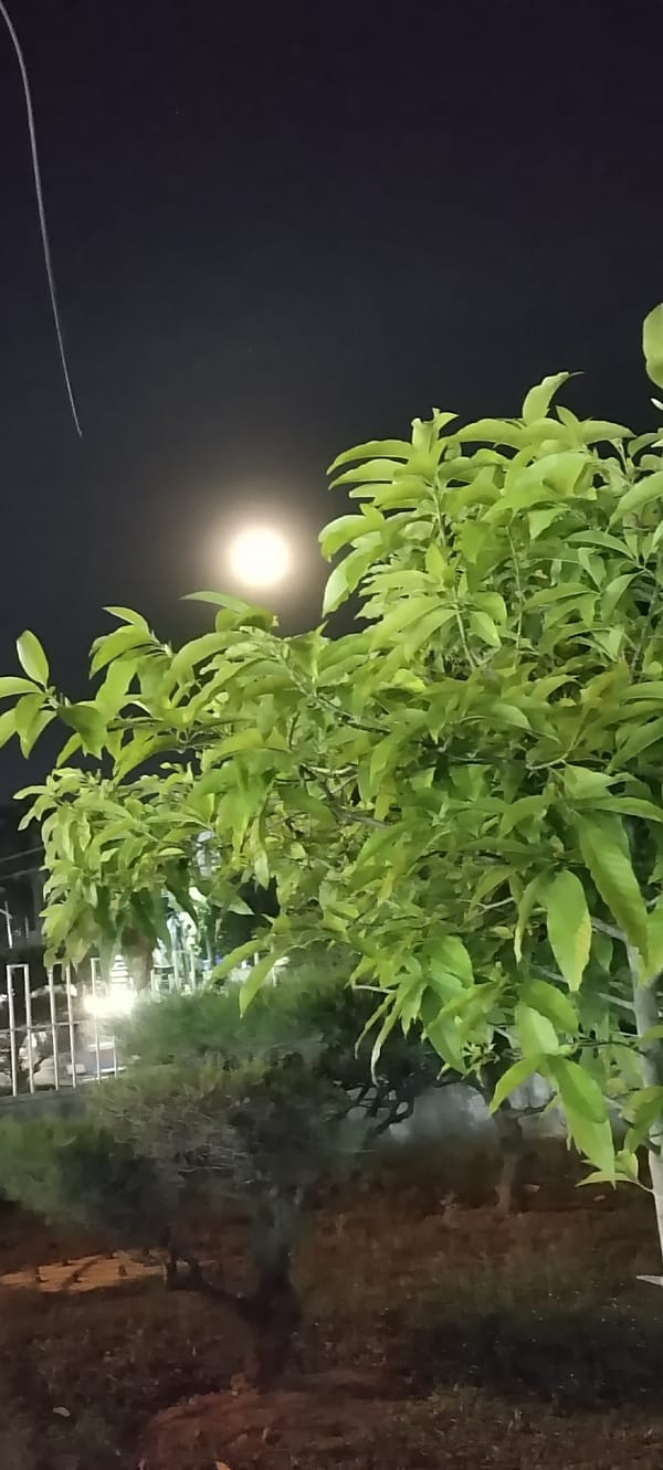 Moonlit city scenes captured during four-minute span