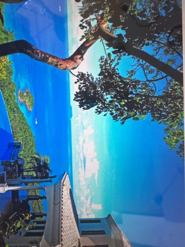 Tattoos, gold rings, and a tropical villa view