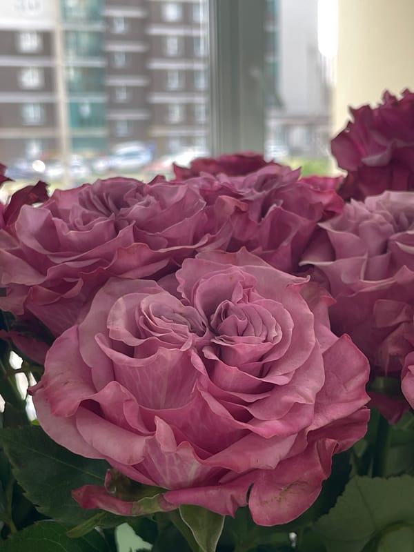 Morning memories: flowers, selfies, and church views documented