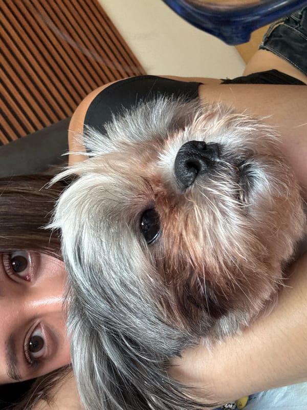 Woman poses with terrier mix dog in casual photos