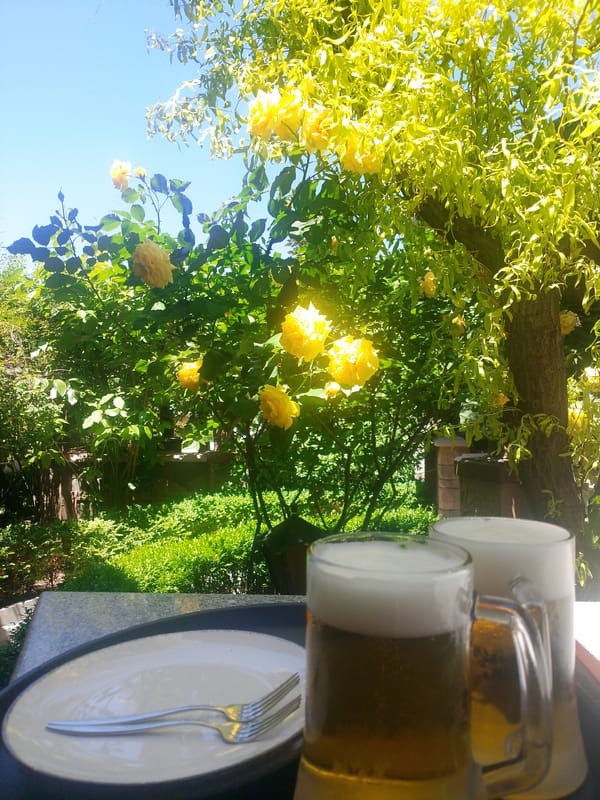 Morning garden cafe scenes documented in Yerevan, Armenia
