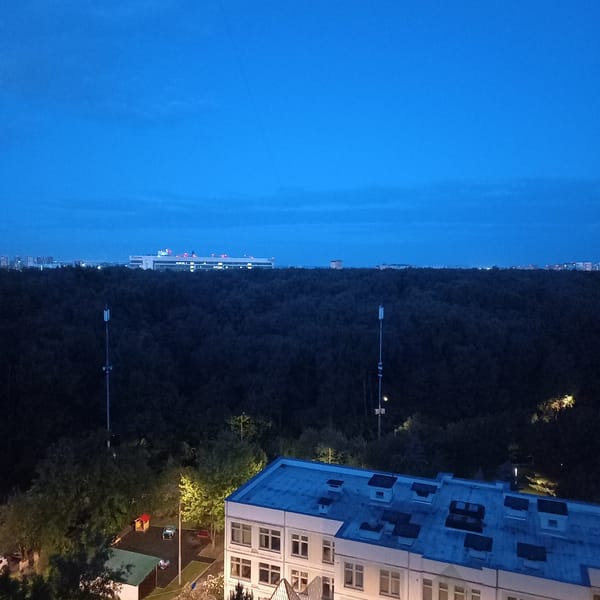 Dusk cityscape captured showing waterfront buildings and forest