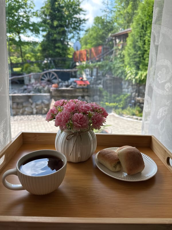 Morning window view captured in Wisła, Poland