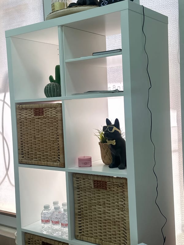 Morning scenes captured across Sofia gymnasium and beauty studio