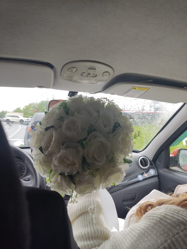 Rainy morning commute with roses through Saint Petersburg bridges