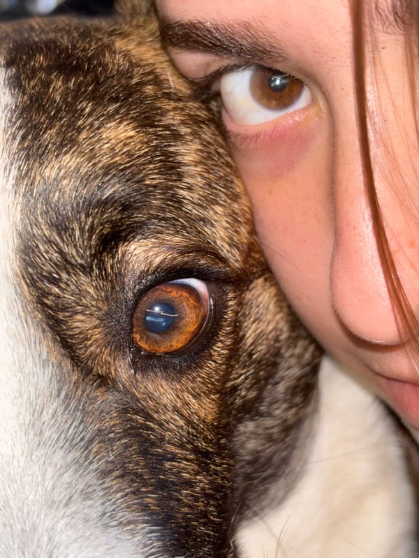 Woman poses with dog for social media photos in Ramat HaSharon