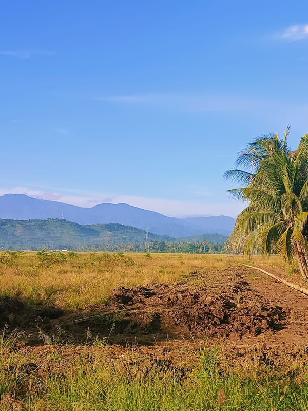 Dry grassland and tilled soil in rural Aceh, Indonesia