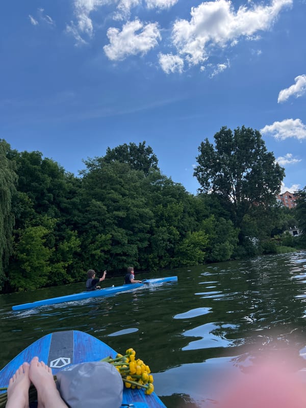 Paddleboarding group enjoys morning recreation on Ternopil lake