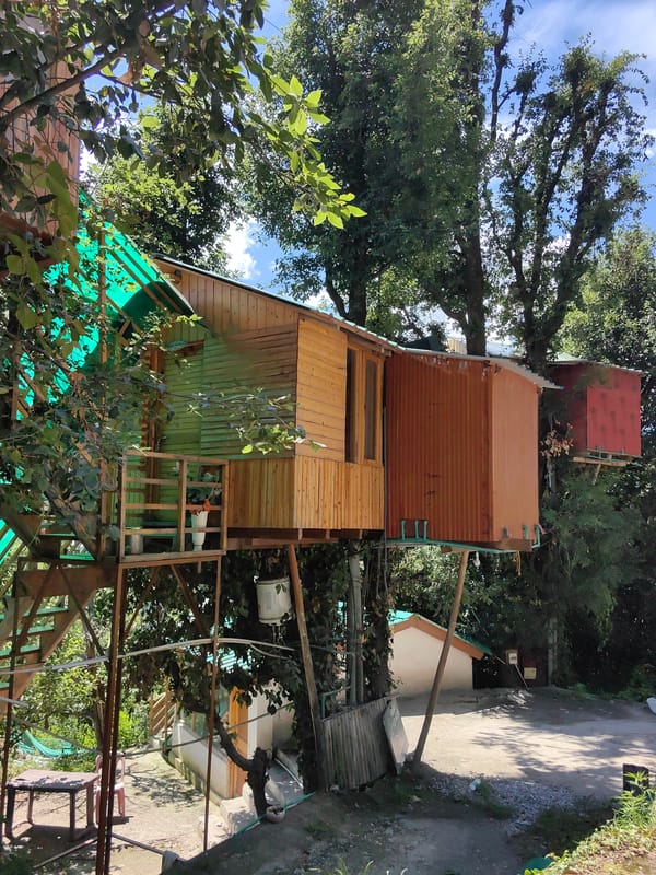Treehouses, forest buildings, and mountain views in Chhyal, India