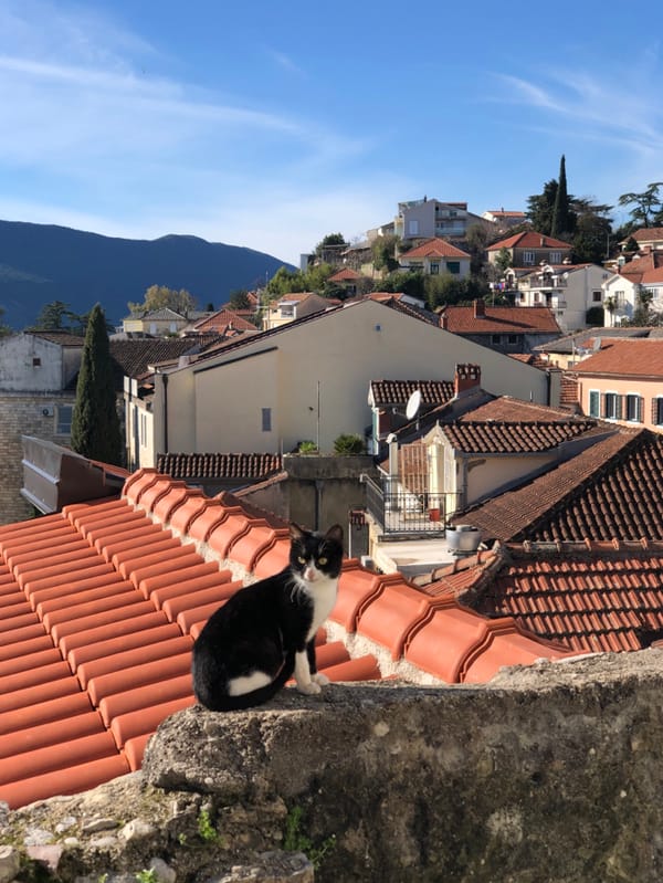Midday life documented across historic Herceg Novi's streets and viewpoints