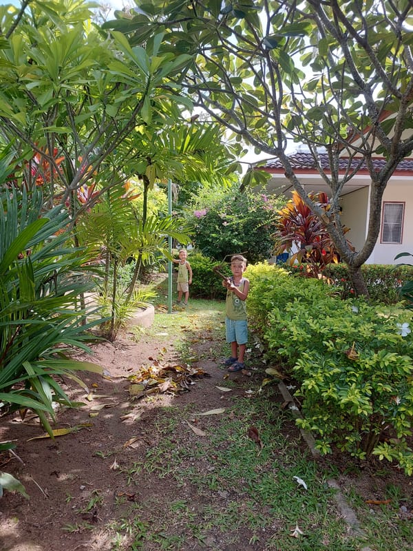 Pool and garden upkeep underway at a Ko Samui residence