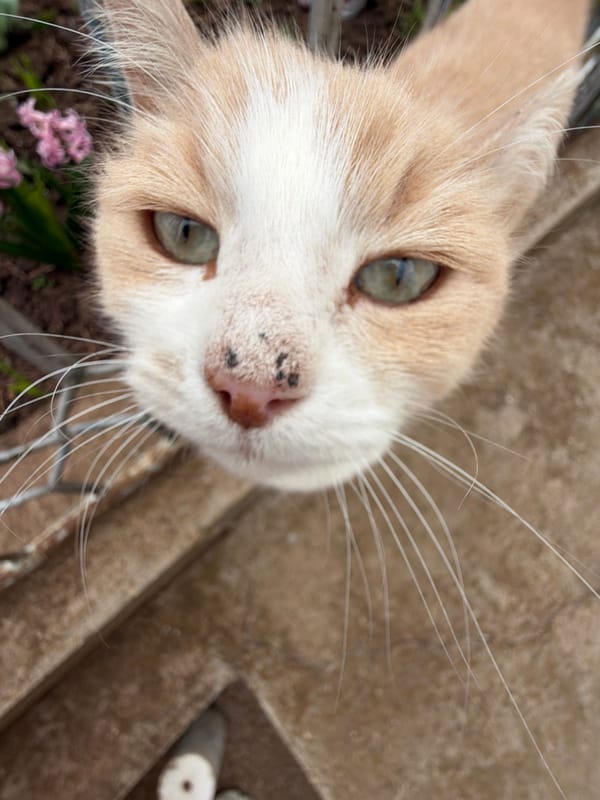 Woman documents morning routine with selfies in Bulgarian village
