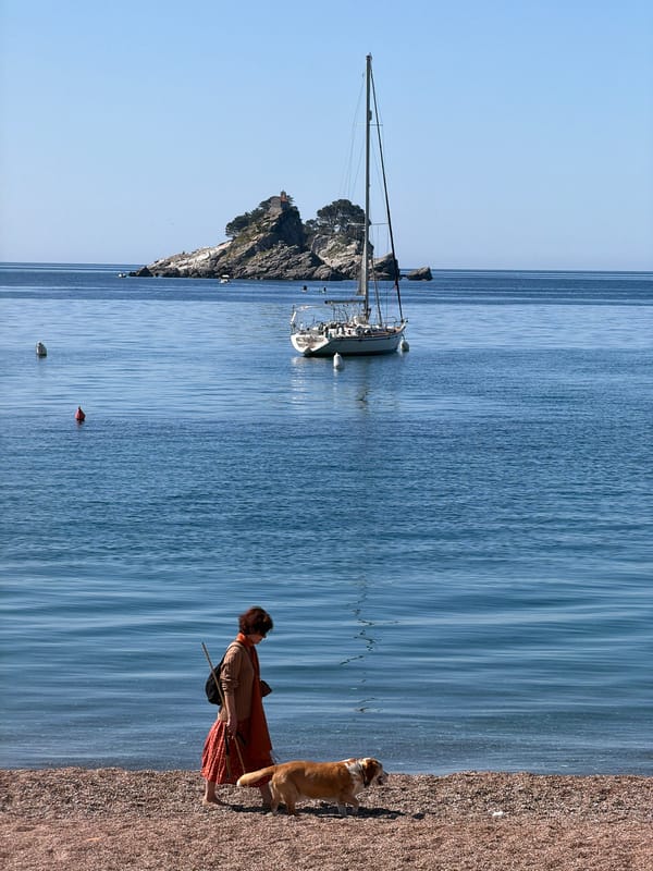 Woman plays with dog on Montenegro beach morning