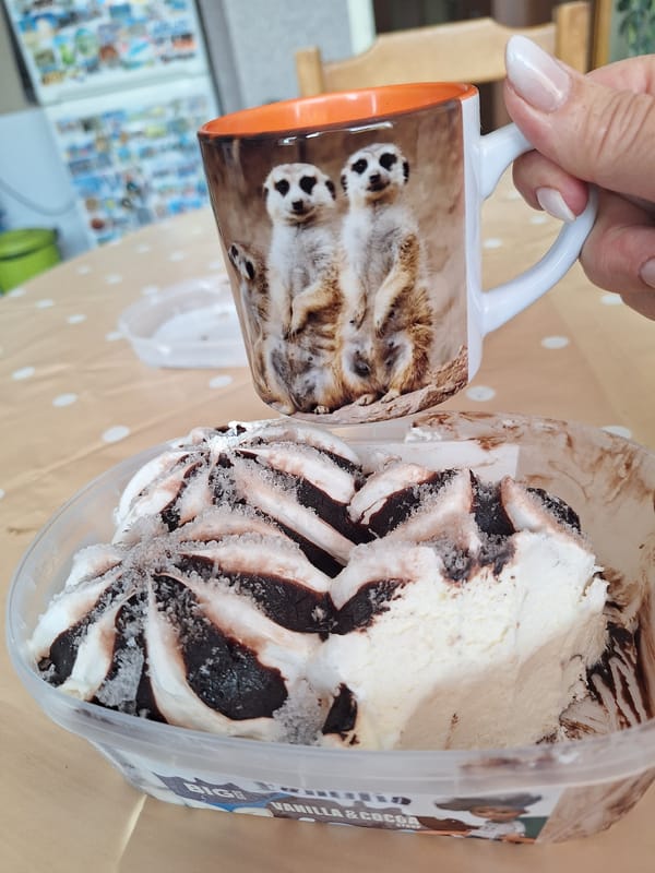Person enjoys vanilla-chocolate swirl ice cream in Montana, Bulgaria