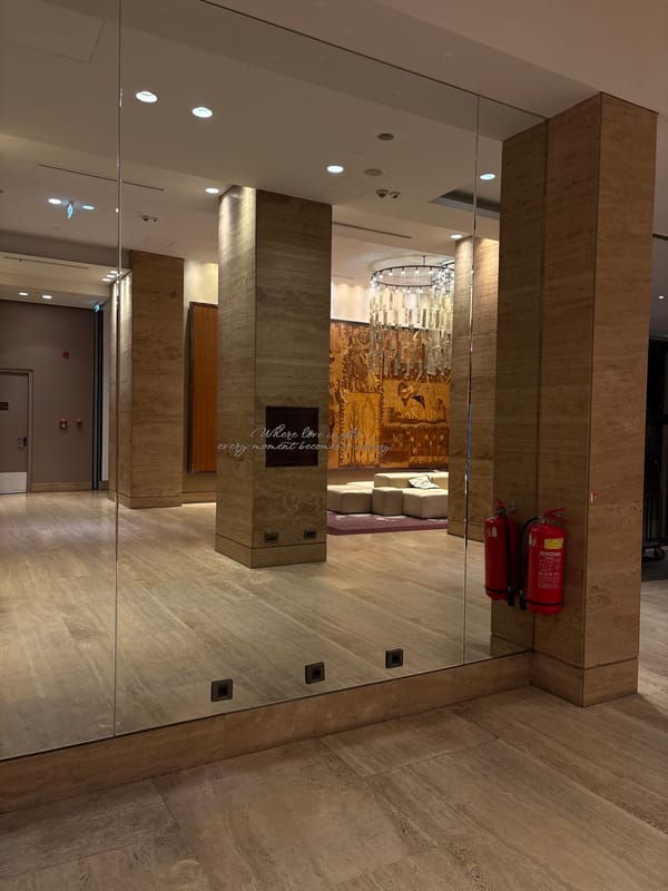 Upscale mirrored interior space documented in Belgrade