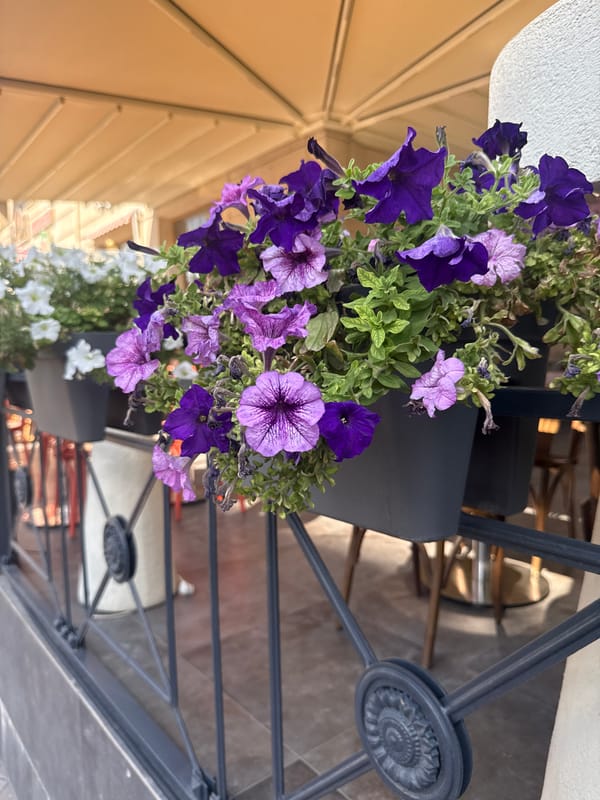 Street-level snapshots of shops, flowers, and signage in Bishkek