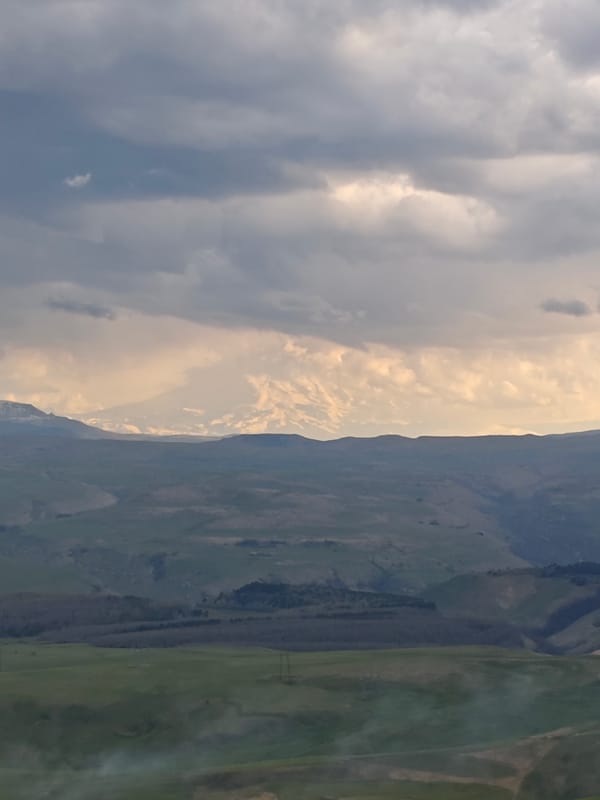 Rural landscape with rolling hills and birds documented