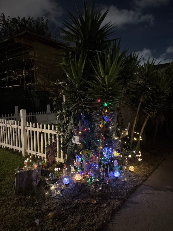 Nighttime decorative displays and lodge building documented in Coronado