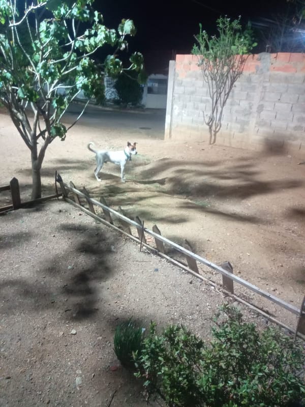Ordinary domestic life documented in Venezuelan household Tuesday morning