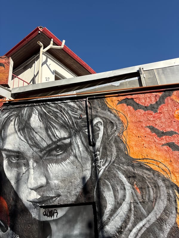 São Paulo street art corridor explored, murals spanning wildlife to pop culture