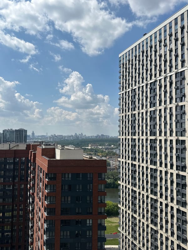 A summer morning in Khimki, dogs, daisies, and cityscape views