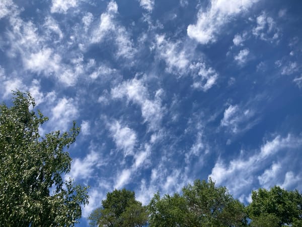 Summer morning in a Russian village garden, skies clear
