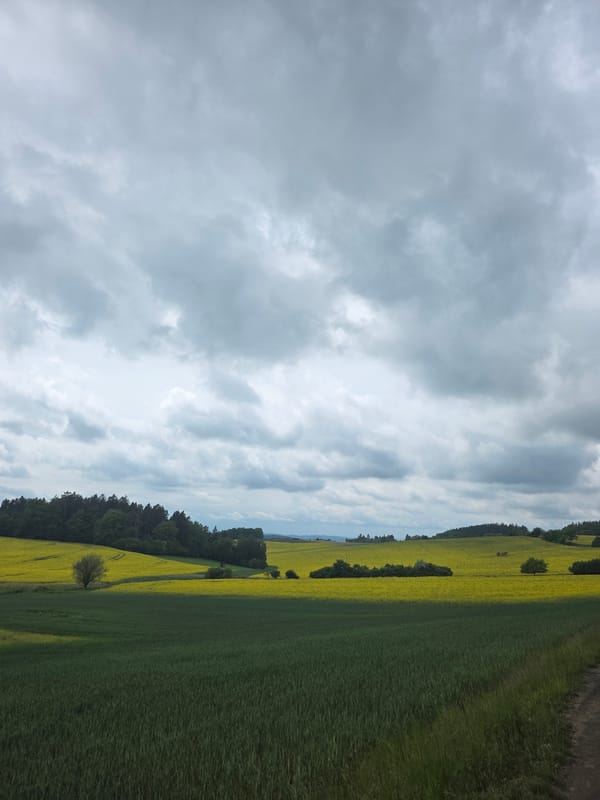 Overcast skies and urban roads documented by witness