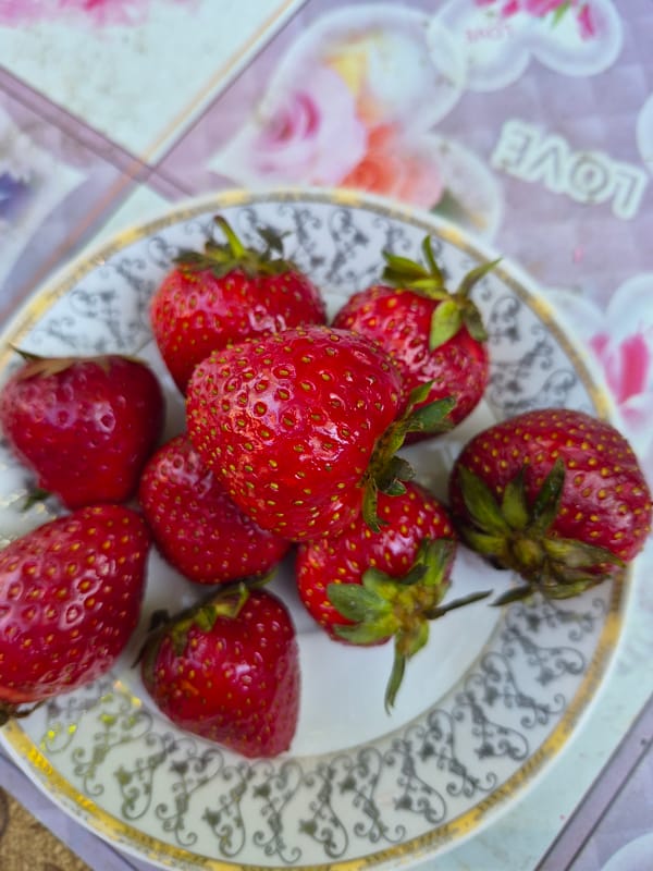 Garden blooms and fresh strawberries documented in detailed close-ups