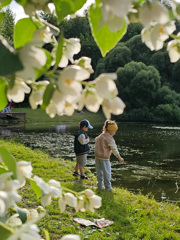 Lazy afternoon by a Moscow park lake in summer