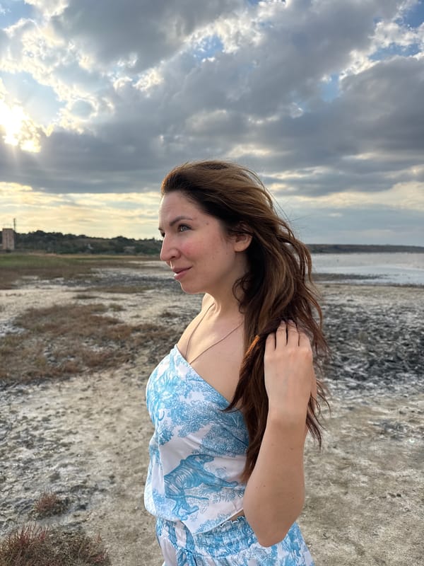 Afternoon on a cracked salt flat near the Odesa coast