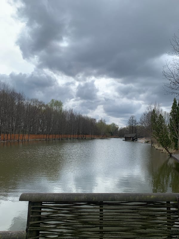 Rural Belarus pastoral scene with horses and water captured