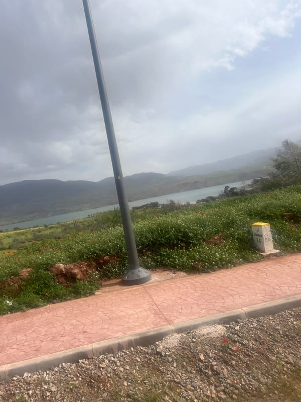 Tourists gather at Bin El Ouidane mountain lake viewpoint