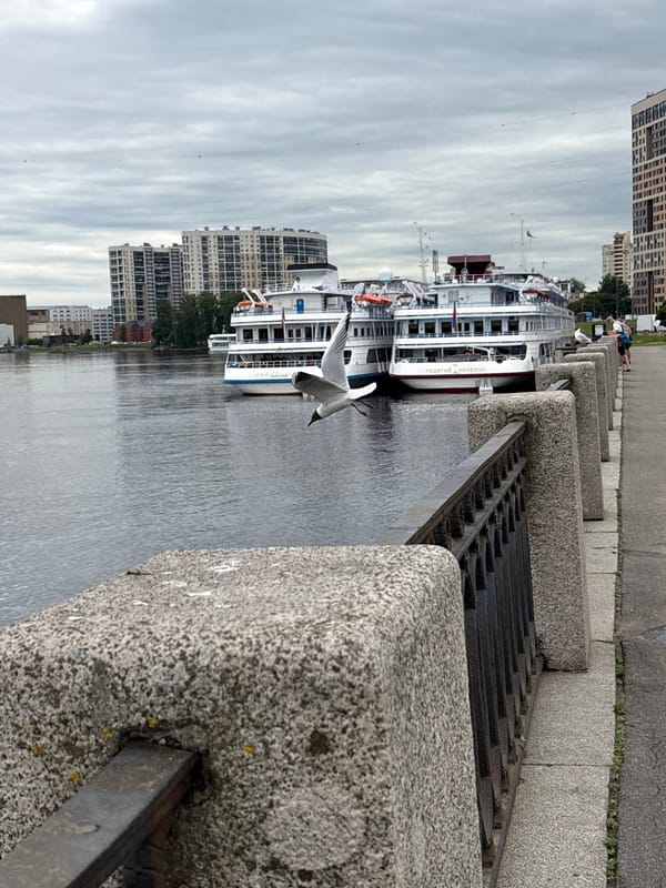 Cruise ships dock in Shushary as cyclist navigates waterfront