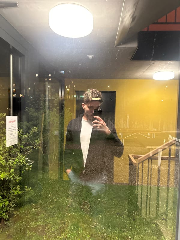 Person takes selfie by reflective window in Winterthur