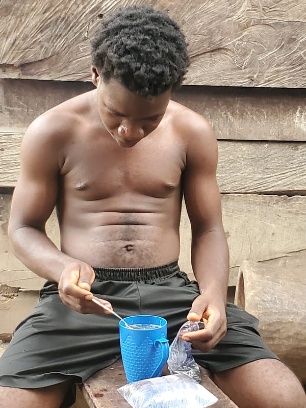 Domestic poultry spotted foraging in rural Mararaba, Nigeria setting