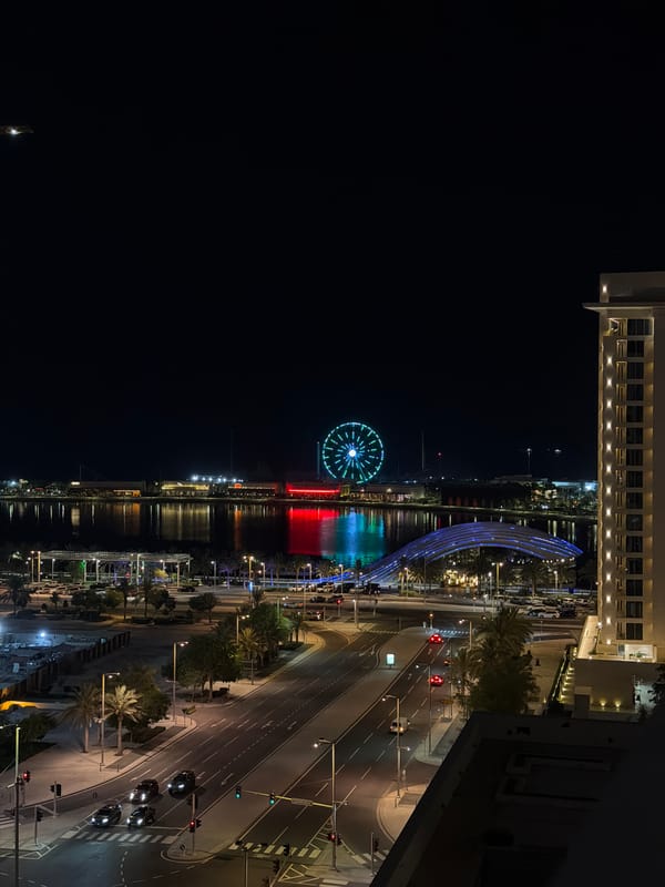 Witnesses document illuminated waterfront Ferris wheel and soccer broadcast