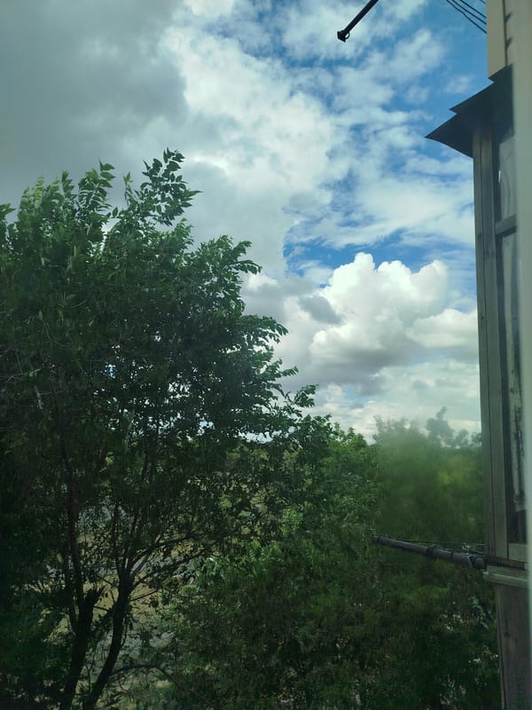 Cat napping indoors while storm clouds roll outside