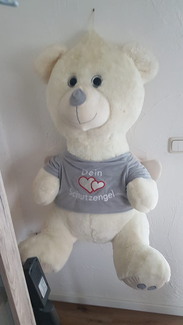 Guardian angel teddy bear spotted indoors in German town