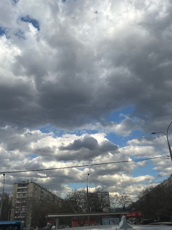 Moscow resident documents cat and street scenes over afternoon