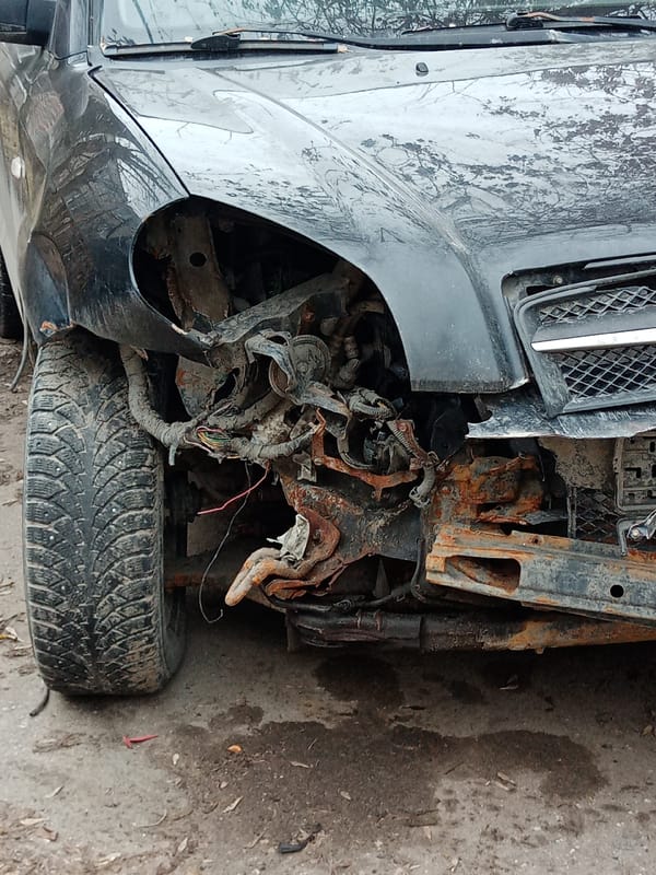 Morning scenes captured across Elektrostal include damaged car, dog, flowers