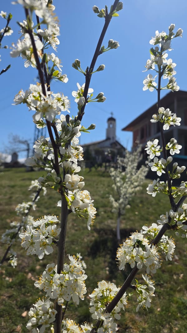 Spring morning walk documented in Bulgarian village Marulevo
