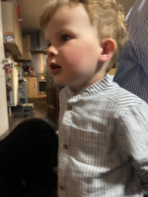 Child celebrates third birthday with family in Belgian home