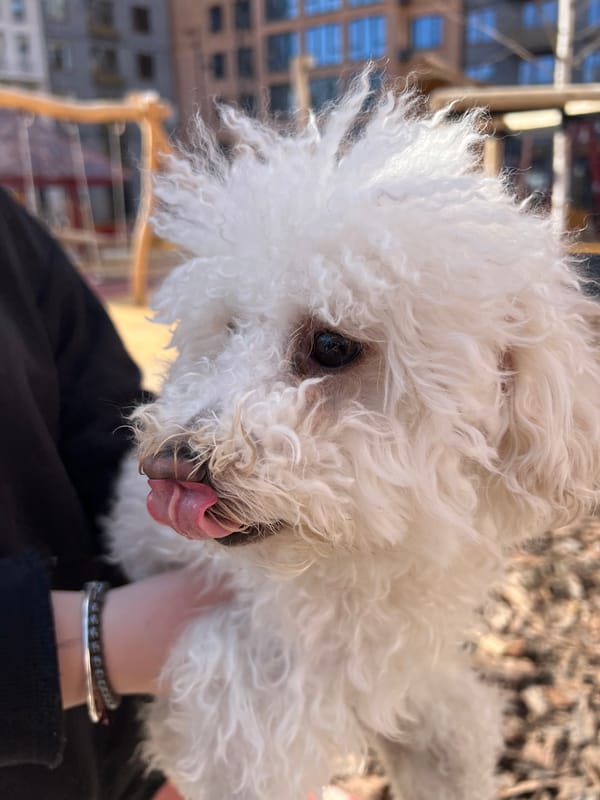 Morning dining scenes captured at Tyumen restaurant