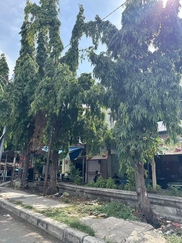 Morning snapshots of daily life in Lhokseumawe, Indonesia