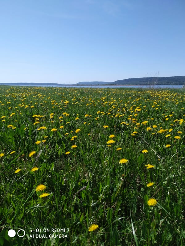 Morning nature observations documented in Okhansk, Russia