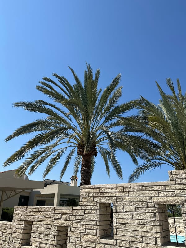 Sunny morning look at a gated Peyia property with pool