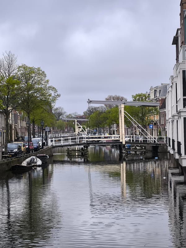 Egyptian goose spotted on canal buoy near Alkmaar drawbridge
