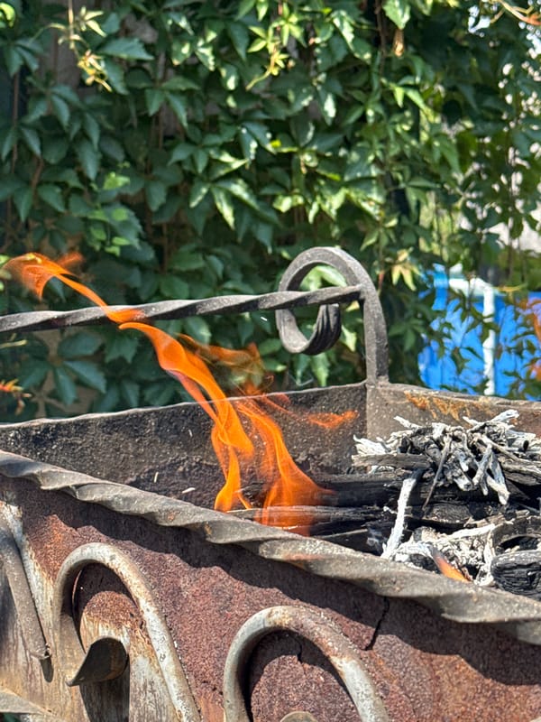 Backyard fire, flowers, and bees on a summer morning in Prokopyevsk