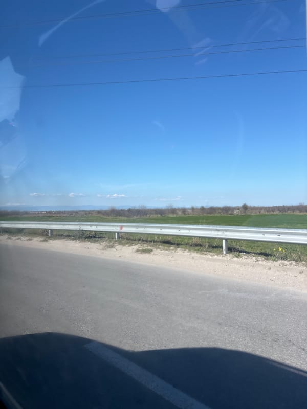 Roadside scene documented in Asenovgrad, Bulgaria